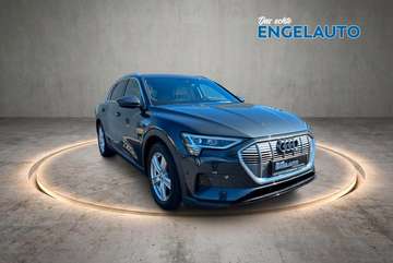 50 quattro LEDER KAMERA AMBIENTE