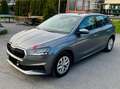 Skoda Fabia Fabia Combi Grau - thumbnail 14