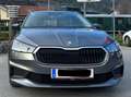 Skoda Fabia Fabia Combi Grau - thumbnail 1