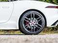 Jaguar F-Type Convertible Chequered Flag Limited Edition White - thumbnail 8