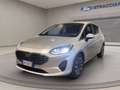 Ford Fiesta 5p 1.0 ecoboost h Titanium 125cv Grigio - thumbnail 1