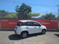 Fiat Panda 3ª serie Panda 1.0 FireFly S&S Hybrid Bianco - thumbnail 7