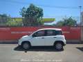 Fiat Panda 3ª serie Panda 1.0 FireFly S&S Hybrid Bianco - thumbnail 4
