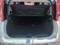 Fiat Panda 3ª serie Panda 1.0 FireFly S&S Hybrid Bianco - thumbnail 9