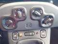 Fiat Panda 1.3 MJT 95 CV S&S 4x4 Bianco - thumbnail 15