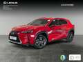 Lexus UX 250h Premium 2WD Rosso - thumbnail 1
