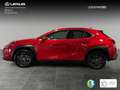 Lexus UX 250h Premium 2WD Piros - thumbnail 3