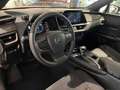 Lexus UX 250h Premium 2WD Rojo - thumbnail 20