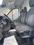 Ford Transit  L4H3 2.0 EcoBlue Weiß - thumbnail 6