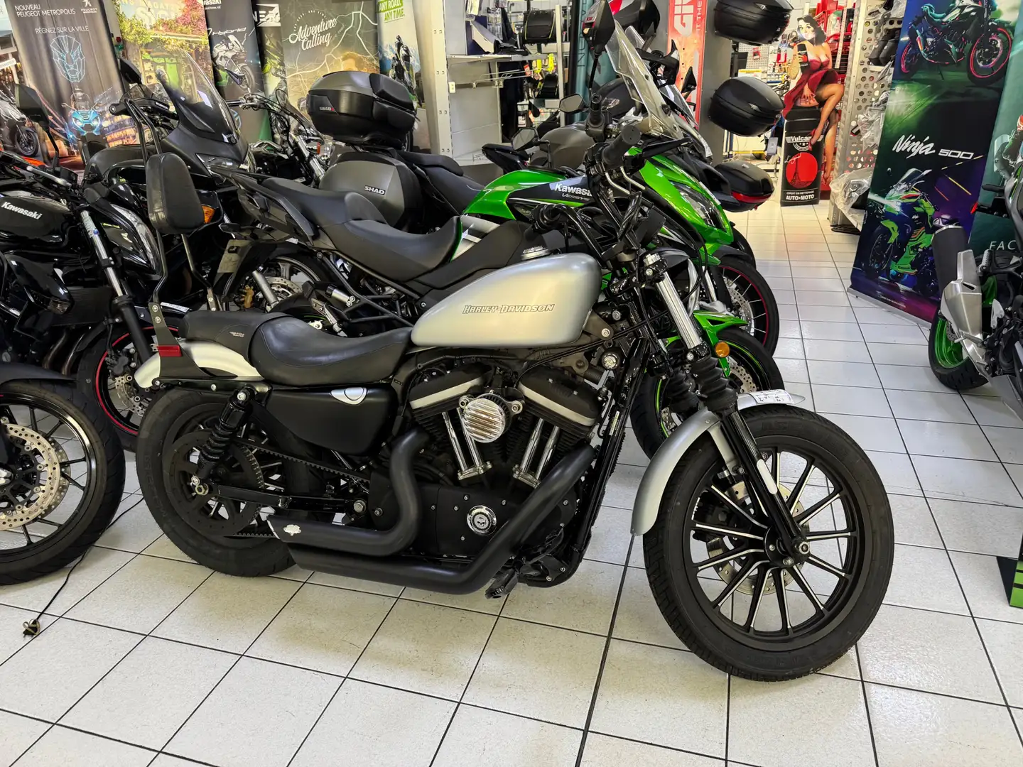 Harley-Davidson Sportster 883 Gris - 1