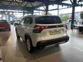 Suzuki SX4 S-Cross Comfort 1.4 Boosterjet LED ACC Apple CarPlay Andro Alb - thumbnail 2
