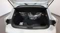 Renault Clio 1.0 tce Evolution Gpl 100cv Bianco - thumbnail 15