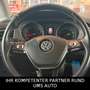 Volkswagen Golf Sportsvan VII IQ.DRIVE/ACC/SONDERLACK Weiß - thumbnail 9