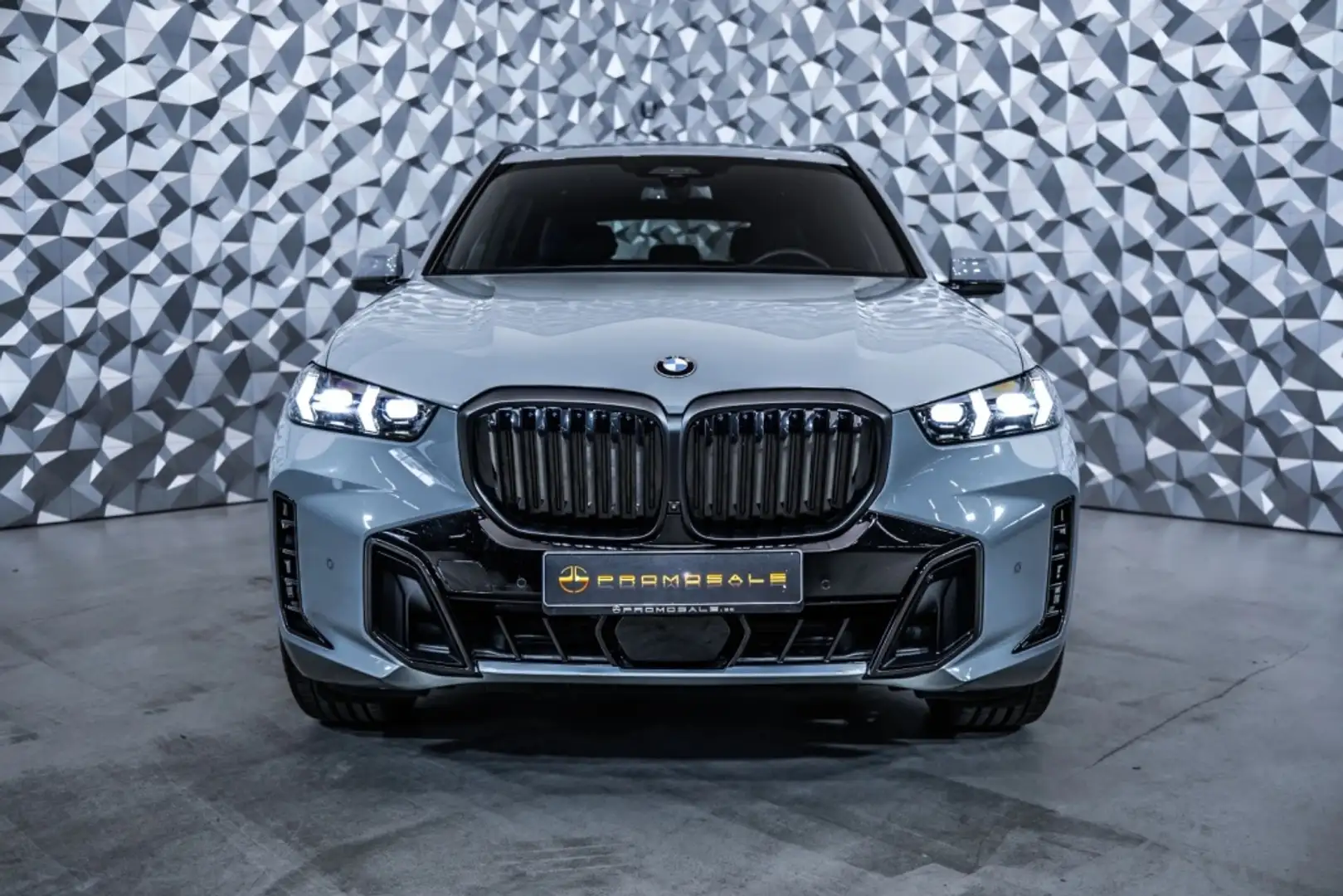 BMW X5 xDrive 30dA xLine M Sport Pro Gris - 2