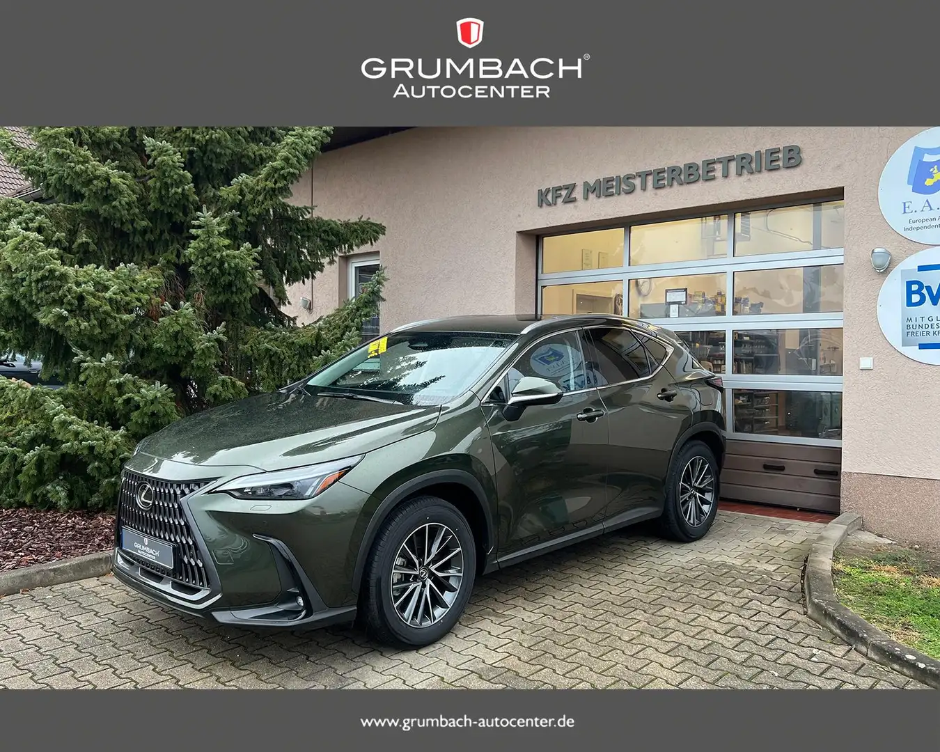 Lexus NX 450h+ 2.5 Plug-in HybridAWD Business Plus AZV Leder e... Zöld - 1