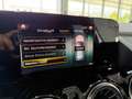 Mercedes-Benz B 250 e*LED*StHz*Ambiente*APPS*Spurassis*Kamera* Wit - thumbnail 45