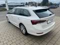 Skoda Octavia Combi Style Navi|LED|DSG|Sitz elektr. Wit - thumbnail 2
