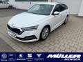 Skoda Octavia Combi Style Navi|LED|DSG|Sitz elektr. Wit - thumbnail 1