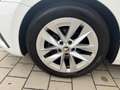 Skoda Octavia Combi Style Navi|LED|DSG|Sitz elektr. Wit - thumbnail 6