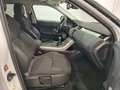Land Rover Range Rover Evoque 2.0eD4 Pure 2WD 150 Blanc - thumbnail 12
