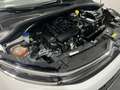 Citroen C3 PureTech 83 S&S Feel Bianco - thumbnail 15