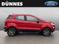 Ford EcoSport 1.0 EcoBoost COOL&CONNECT Rot - thumbnail 6