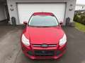Ford Focus Focus Trend 1,6 TDCi DPF Trend Rot - thumbnail 12