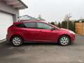 Ford Focus Focus Trend 1,6 TDCi DPF Trend Rot - thumbnail 15