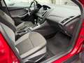 Ford Focus Focus Trend 1,6 TDCi DPF Trend Rot - thumbnail 26