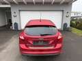 Ford Focus Focus Trend 1,6 TDCi DPF Trend Rot - thumbnail 3