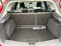 Ford Focus Focus Trend 1,6 TDCi DPF Trend Rot - thumbnail 22
