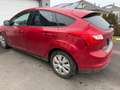 Ford Focus Focus Trend 1,6 TDCi DPF Trend Rot - thumbnail 8