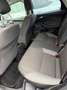 Ford Focus Focus Trend 1,6 TDCi DPF Trend Rot - thumbnail 19