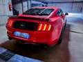 Ford Mustang Mustang Convertible 2.3 ecoboost 317cv Arancione - thumbnail 5
