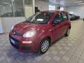 Fiat Panda 1.0 FireFly Hybrid Rouge - thumbnail 1