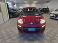 Fiat Panda 1.0 FireFly Hybrid Rouge - thumbnail 2