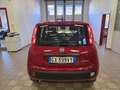 Fiat Panda 1.0 FireFly Hybrid Rouge - thumbnail 5