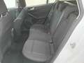 Ford Focus 1.5 tdci Business 120CV-GUIDA AUTONOMA Bianco - thumbnail 12