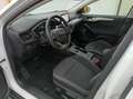 Ford Focus 1.5 tdci Business 120CV-GUIDA AUTONOMA Bianco - thumbnail 9
