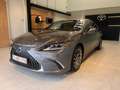 Lexus ES 300 ES 300h 2.5i Privilege Line Grau - thumbnail 1