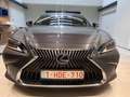 Lexus ES 300 ES 300h 2.5i Privilege Line Grau - thumbnail 6
