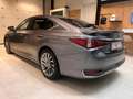 Lexus ES 300 ES 300h 2.5i Privilege Line Grau - thumbnail 15