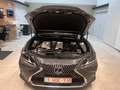Lexus ES 300 ES 300h 2.5i Privilege Line Grau - thumbnail 17