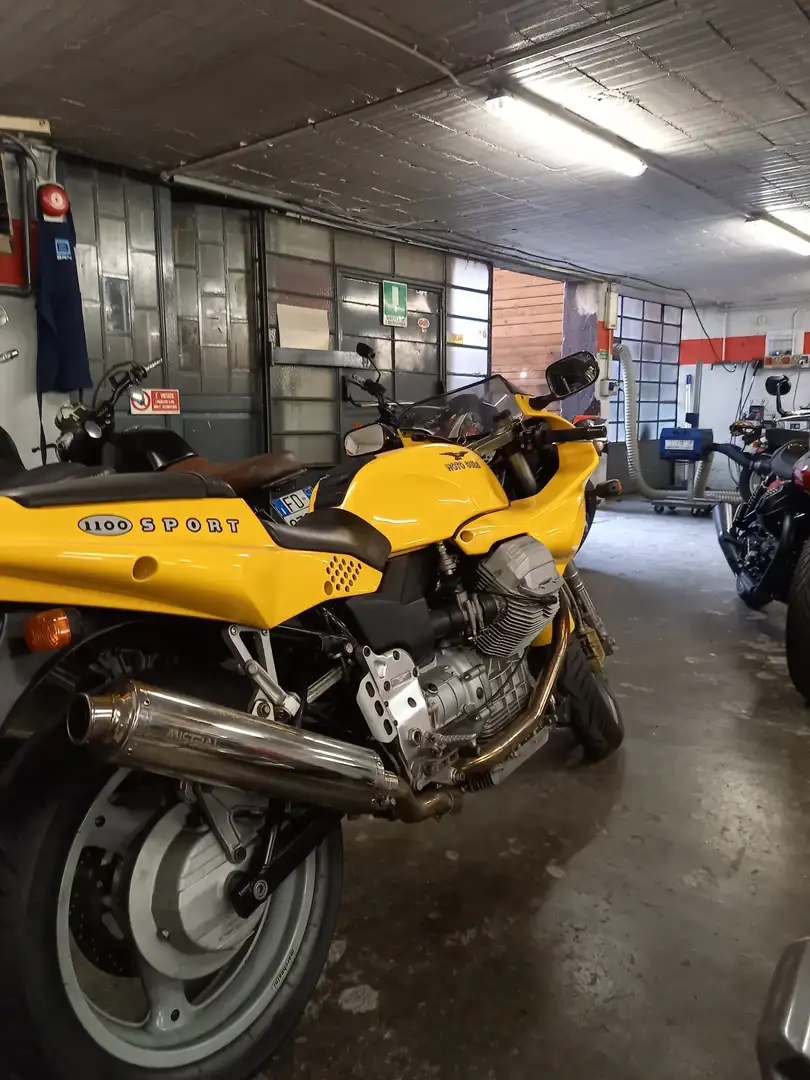 Moto Guzzi 1100 Sport Żółty - 2