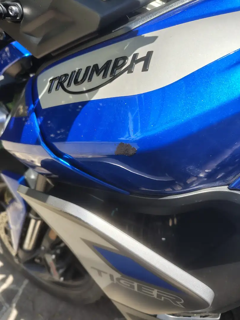 Triumph Tiger 900 GT PRO Blu/Azzurro - 2