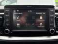 Kia Stonic 14 MPI ISG Gold SHZ+Kamera+LM Grau - thumbnail 16