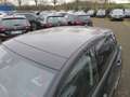 Volkswagen Golf Life 1.5 TSI NAVI PANO IQ LIGHT ACC GJR SPORTSITZE ALU Schwarz - thumbnail 8
