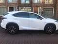 Lexus NX 300h NX 300h 300h AWD Luxury Line - thumbnail 6
