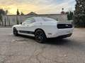 Dodge Challenger Challenger 3.6 V6 GT Plus awd 309cv at8 Bianco - thumbnail 3