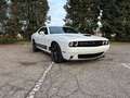 Dodge Challenger Challenger 3.6 V6 GT Plus awd 309cv at8 Bianco - thumbnail 2